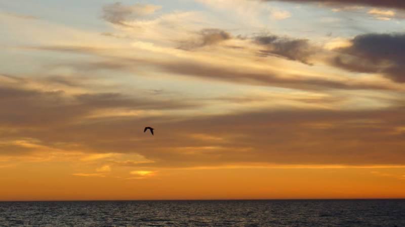 USA_2011-11-28 16-06-46